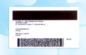 Editable Arkansas drivers license Template