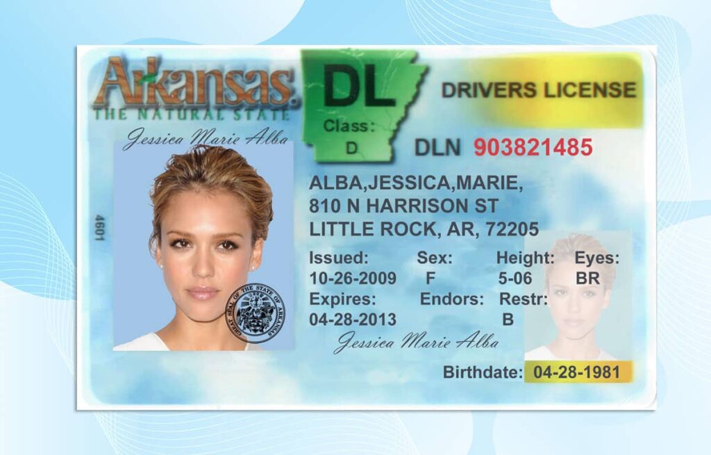 driver-license-template-editable-psd-templates