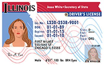 Illinois Drivers License Template – Psd Photoshop File