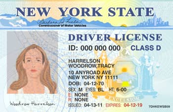 New York Drivers License Template – PSD Photoshop File