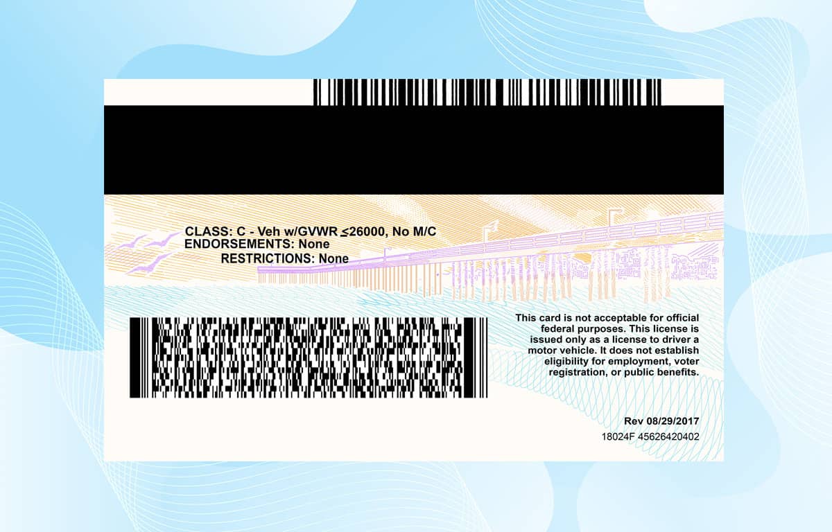 California Drivers License Template Download (V 3) – PSD File