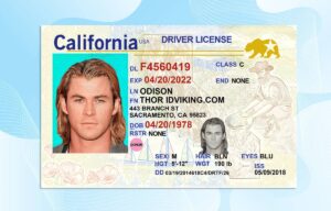 California Drivers License Template Download