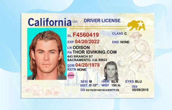 California Drivers License Template Download V 3 Psd File