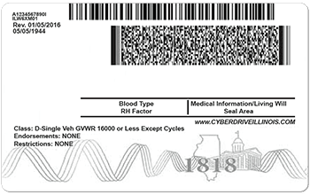 Illinois Drivers License Template New Edition PSD Photoshop File   Illinois Drivers License Psd Template New Back 350px 