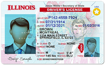 Illinois Drivers License Template (New Edition) – PSD Photoshop File