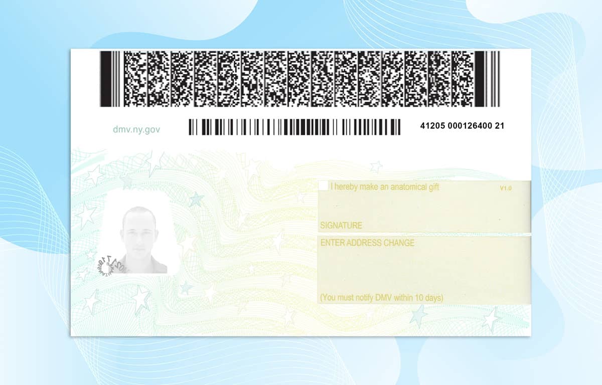 New York Drivers License Template (New Edition) PSD File